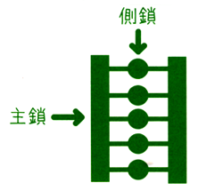 毛皮質1 毛皮質1